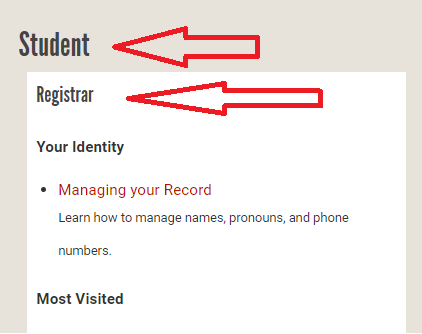 Screenshott of student tab Registrar channel